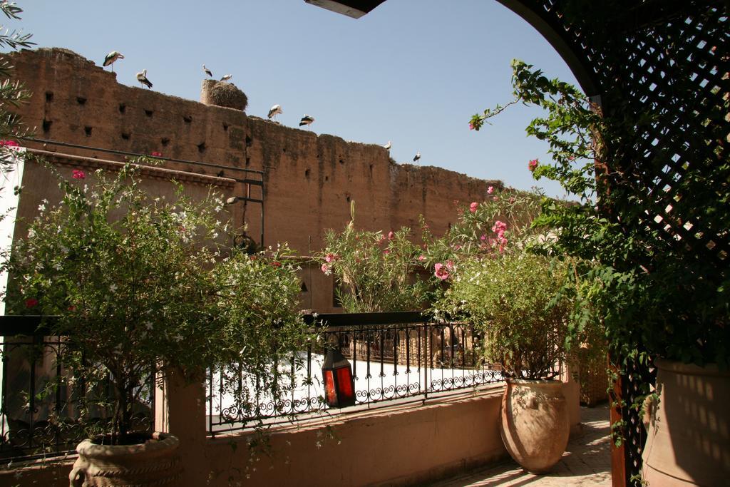 Riad Carina Marrakesh Luaran gambar