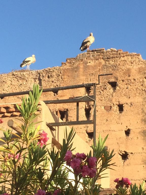 Riad Carina Marrakesh Luaran gambar